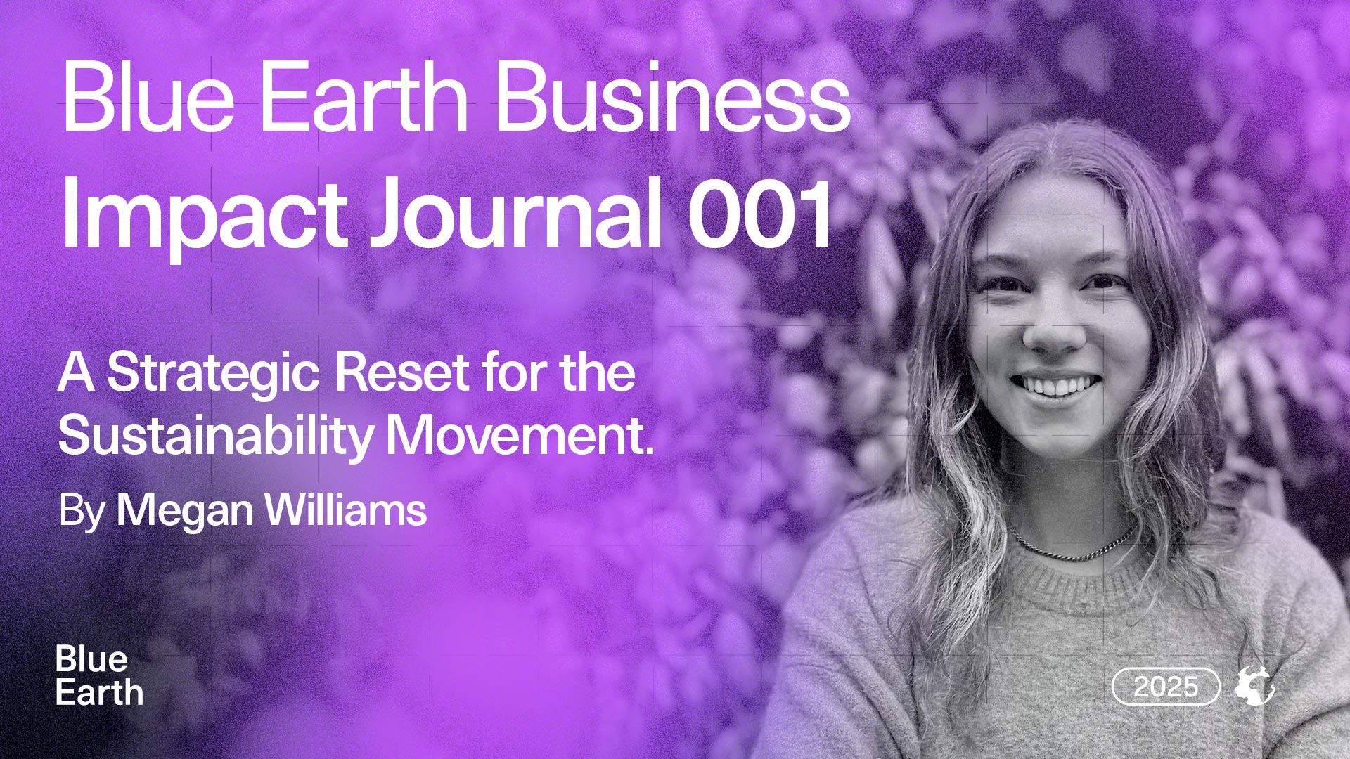 A Strategic Reset for the Sustainability Movement
