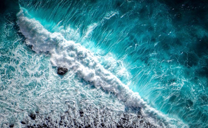 How the Ocean Drives Our Activism