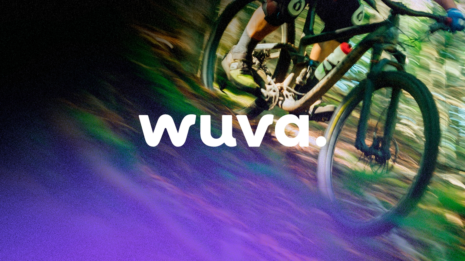 The FinTech Turning Ownership on Its Head